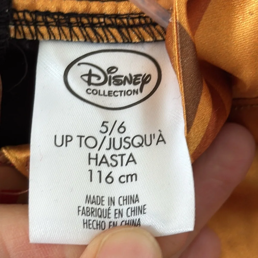 NWOT Disney Collection Princess Anna Dress Size 5/6